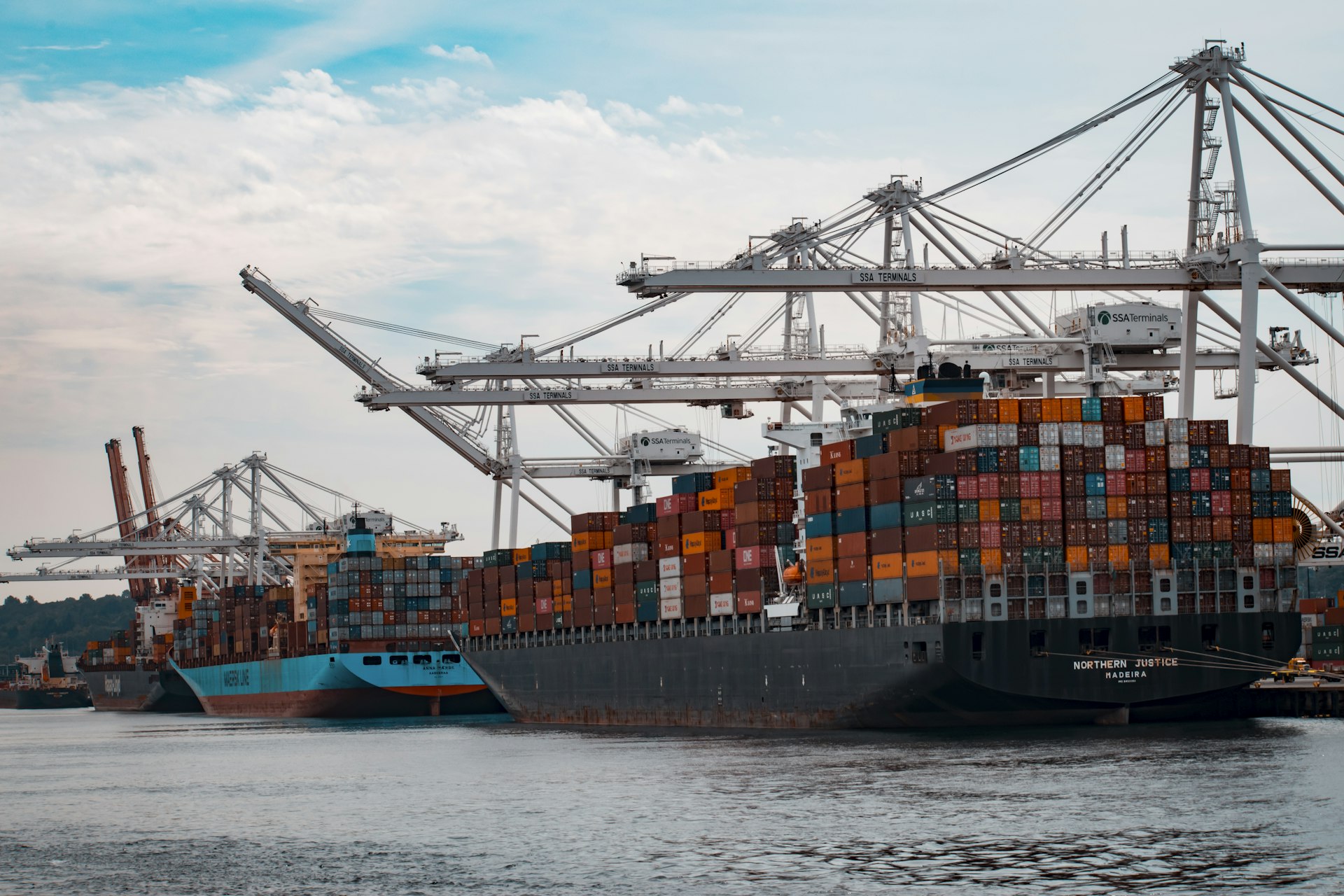 Container terminal cranes at work